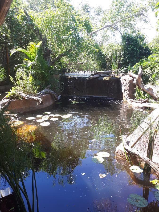 Chinderera Eco Lodge Manguzi Экстерьер фото